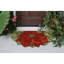 Tapis de cuisine Anayssa-632149522