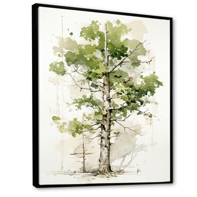 Green Witness Of Ages Sycamore Tree - Tree Sycamore Wall Art