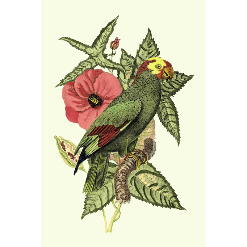 Oiseaux tropicaux et botaniques I, H 30 po x l 20 po