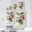 Toile tendue rose I-Premium Gallery-1163940160