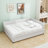 Yasmir Upholstered Sofa Daybed with Trundle-2032365597-2032365594