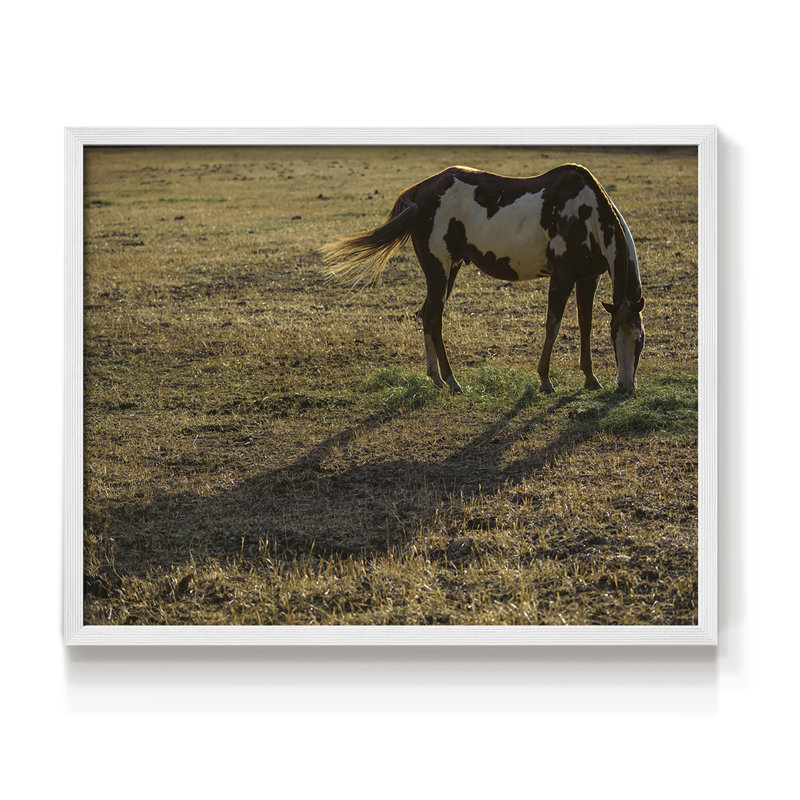 Long Shadow - Imprimé encadré - Restickable, H 8 po x l 10 po, Blanc