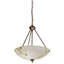 Luminaire bol suspendu unique à 2 lumières-16183497