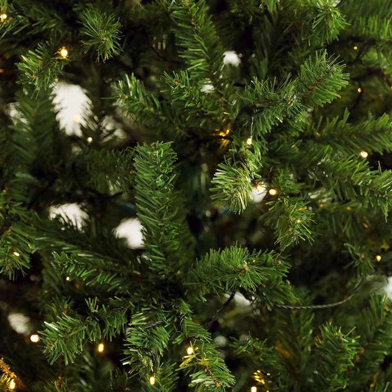 72' Pine Christmas Tree