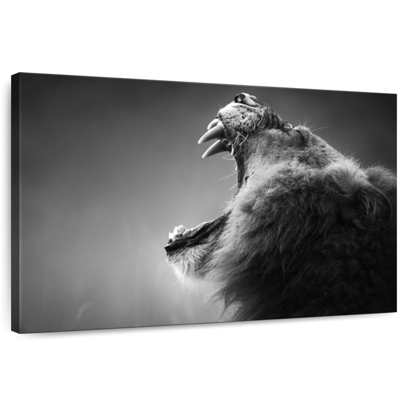 Lion Maw, 16" H x 24" W