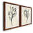 Érable