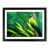 Black Framed selected
