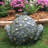 Toad Hollow Classic "Earl" Garden Statue-1864031924