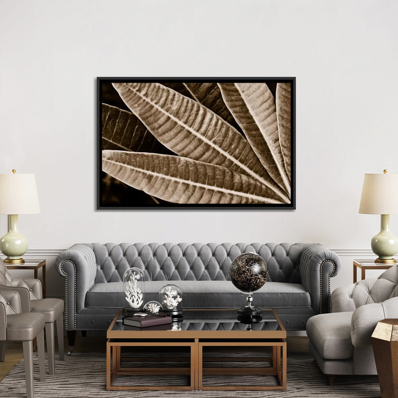 Albree Modern, sépia, feuilles, impression sur toile, H 40 po x l 60 po x P 1,5 po, Toile avec cadre flottant noir