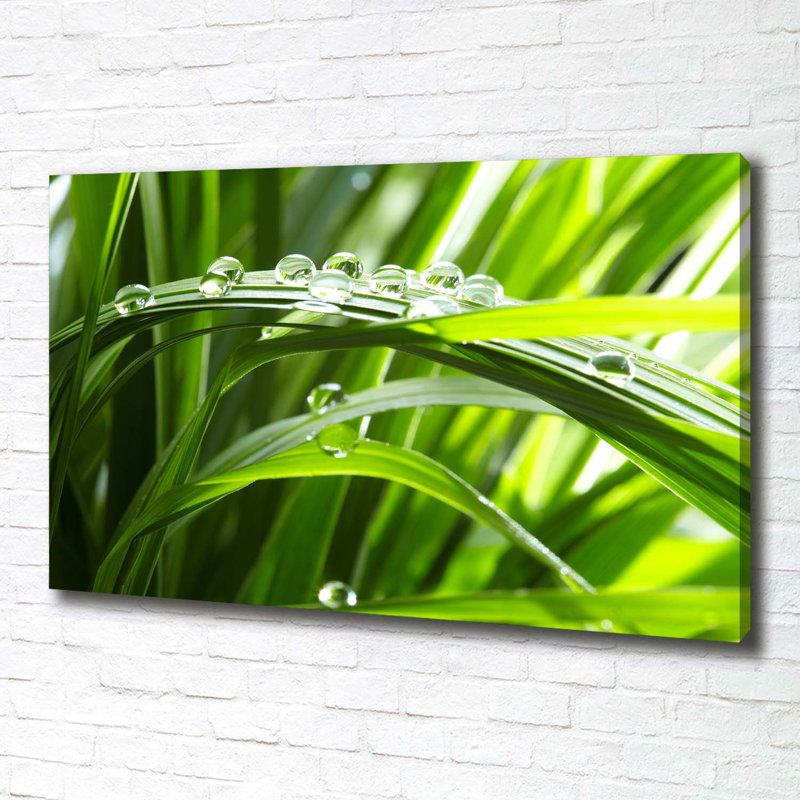 Drops On The Grass - Wrapped Canvas Print