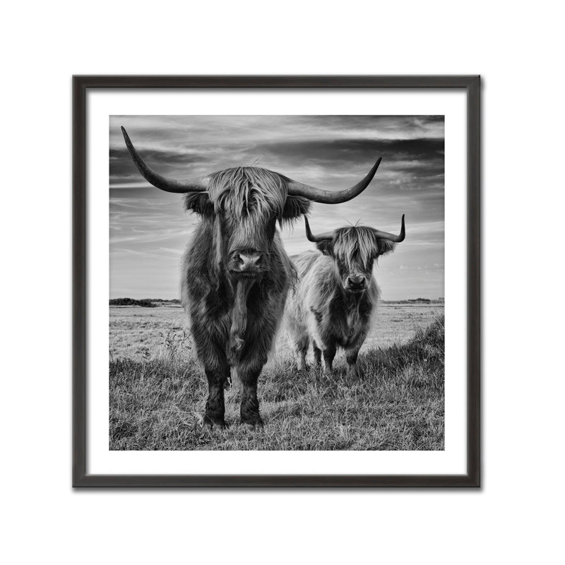Nature Inspired Highlands by  - Picture Frame Photograph on Paper, 24" H x 24" W