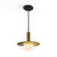 1 - Light LED Pendant-153155533