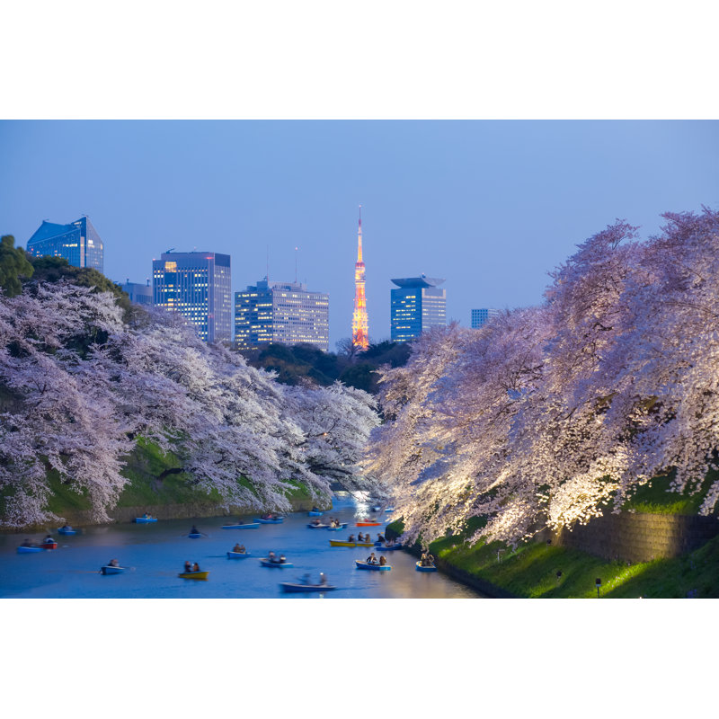 «Beautiful Sakura Cherry Blossom Light Up And Tokyo Tower», photographie sur toile tendue, H 12 po x l 18 po