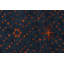 One-of-a-Kind No Hand Knotted Area Rug