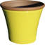 Canady Pot Planter-15753333-15753334