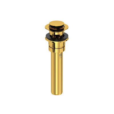Push Drain with Overflow