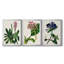 AntiqueFloralFolio II - Toile tendue avec châssis sur mesure - 3 pièces-242561140-242561137
