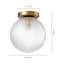 Glass Flush Mount