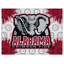 NCAA - Impression sur toile tendue-19833885-19833884