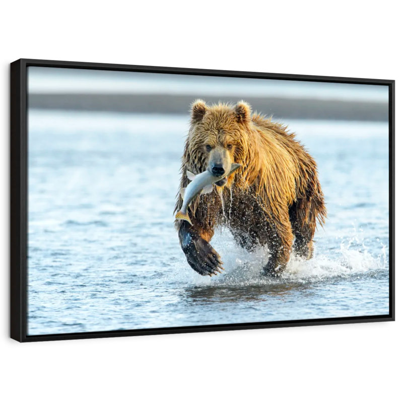 Animal "Art mural grizzly avec saumon", H 25 po x l 37 po