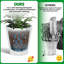 Pot Planter-685284879