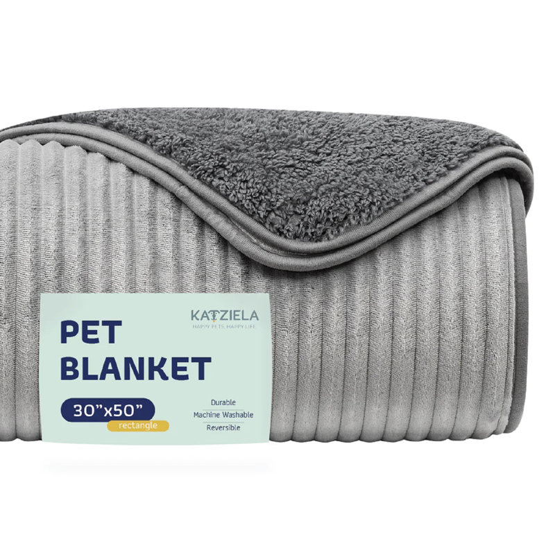 Coussins Katziela, Gris clair, 50 po x 30 po