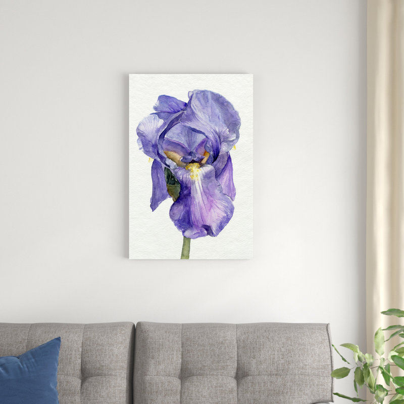 Iris en fleurs II, H 30 po x l 20 po