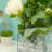 Moneta Glass Table Vase-1589150935