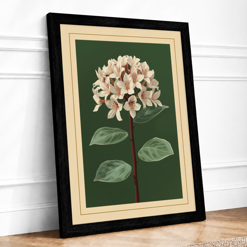 Potted Rhododendron Botanical - Print, A1 - 84.1 x 59.4 cm, Black