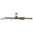 Hinkley Andros LED Ceiling Fan-108493380-108493377