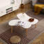 Table basse en forme de noix