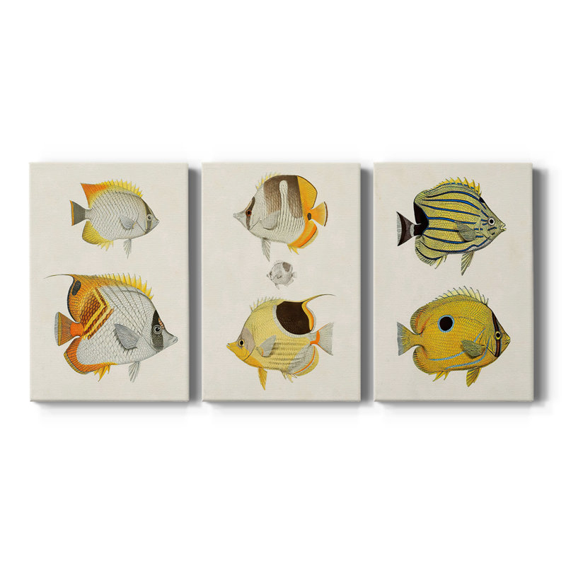 Poisson jaune et gris I - Toile tendue avec châssis sur mesure - 3 pièces, H 60 po x l 120 po