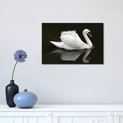 " Swan " by Ben Heine