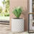 PLANTER