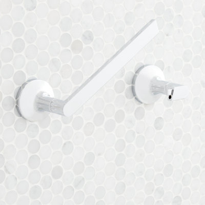 Lentz Wall Mounted Pivoting Toilet Paper Holder