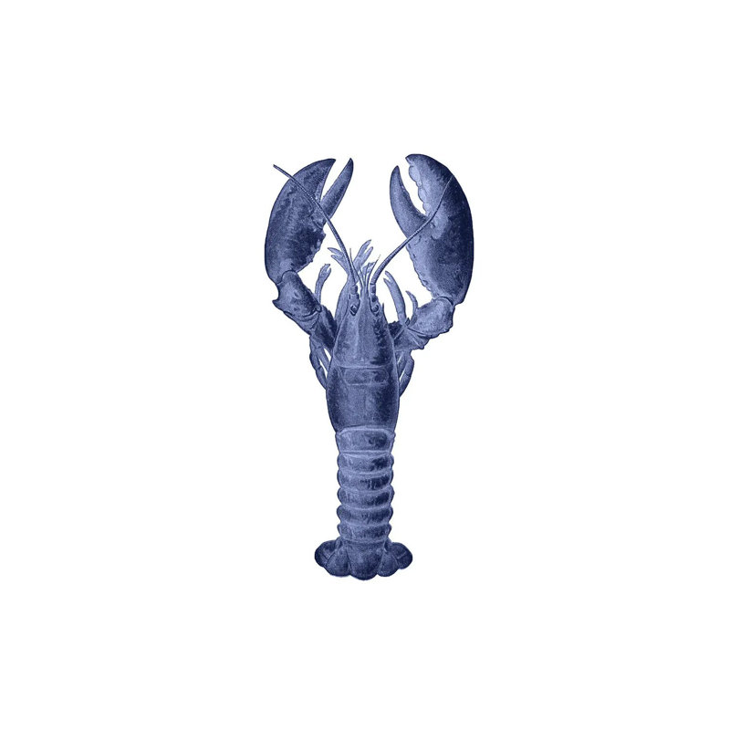 Homard bleu, H 18 po x l 12 po x 1,5 po