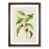 Walnut Framed selected