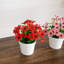 7 po Marguerite artificielle en pot blanc - ensemble de 3-277792312