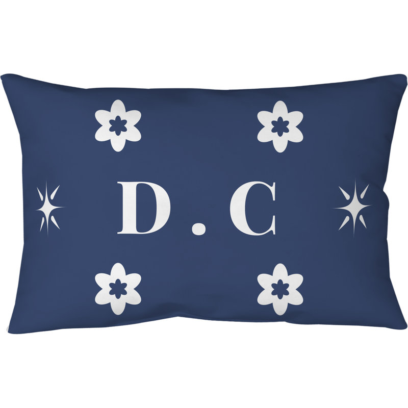 Coussin 14 pouces x 10 pouces DC