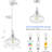 Hammered Glass Pendant Light