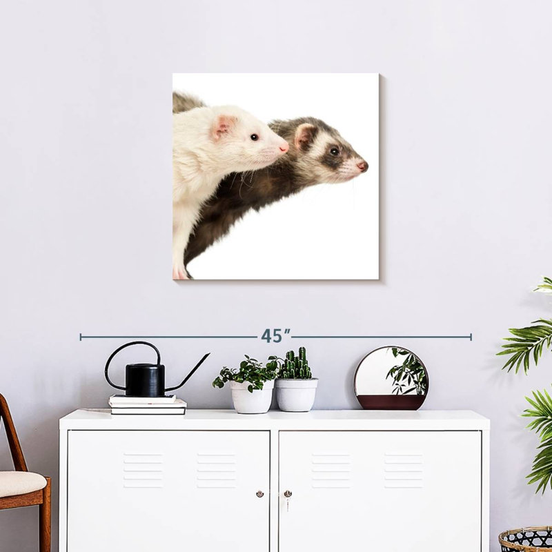 Crowle Two Curious Ferrets, 24" H x 24" W