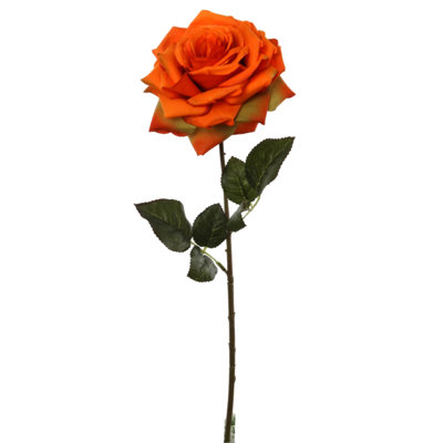 Orr Rose Arrangement