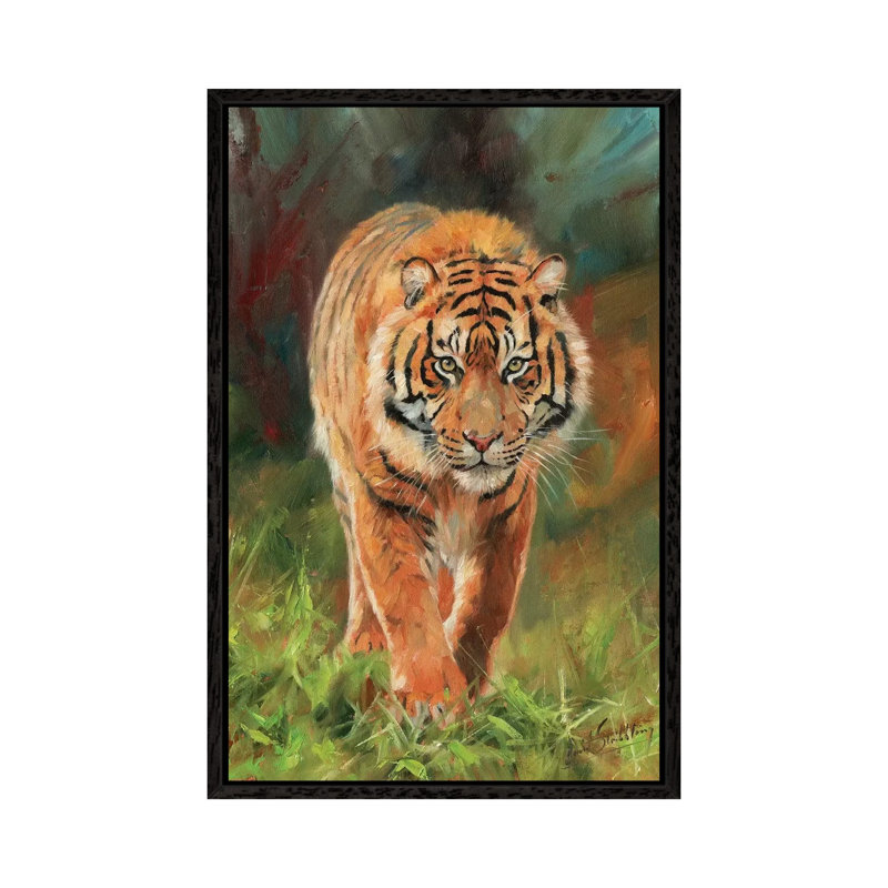Amur Tiger by David Stribbling - Gallery-Wrapped Canvas Giclée on Canvas, 66.04 cm H x 45.72 cm W, Black Framed