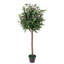 Faux Olive Tree Plant in Pot Liner-175044719