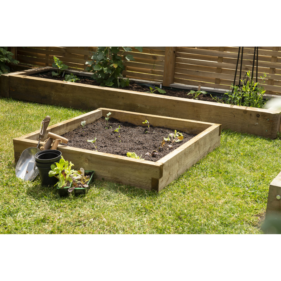 Caledonian Wood Raised Garden Bed