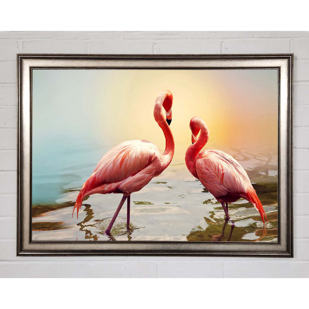 Flamingo Sonnenuntergang Gerahmter Druck