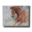«Equine exercise» par Robert Campbell, art mural sur toile-1444710453