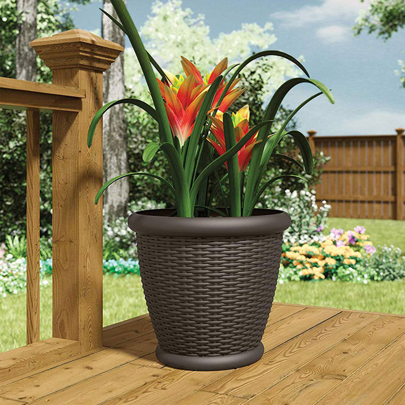 Cache pot, 4 Pack