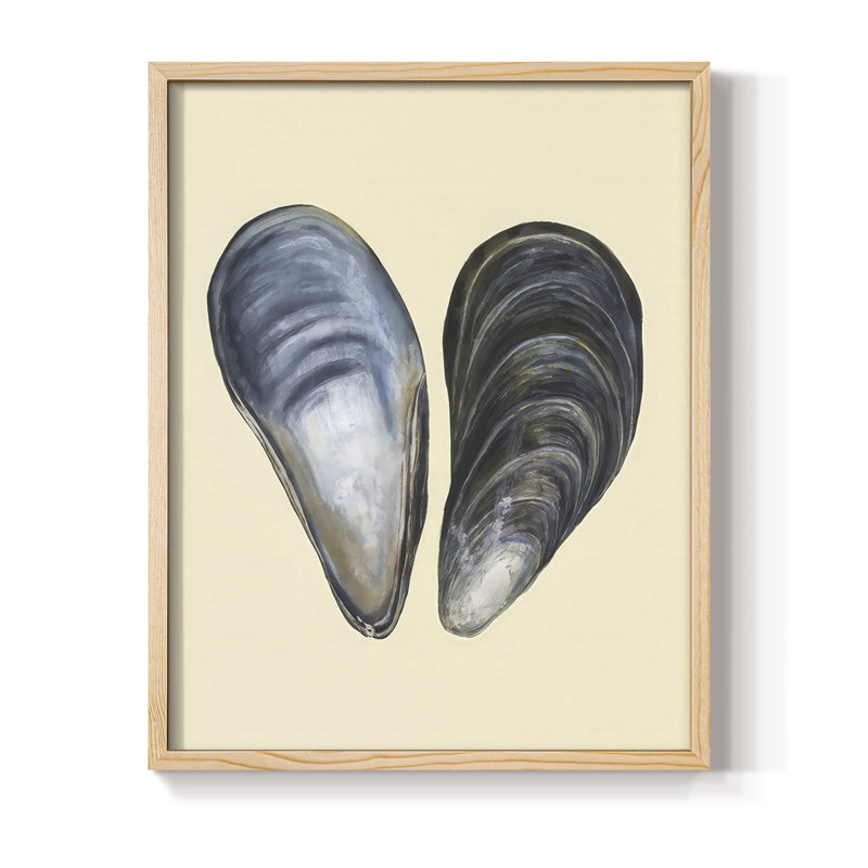 «Bivalve Shells I», reproduction encadrée - bois massif, Naturel, H 11 po x l 9 po