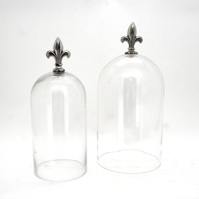 Avelyn Cloche Or Water Globe